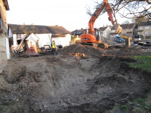 Japanese Knotweed treatment building site